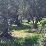 Villa Trulli Nel Cuore Della Valle D'itria Con Piscina Privata