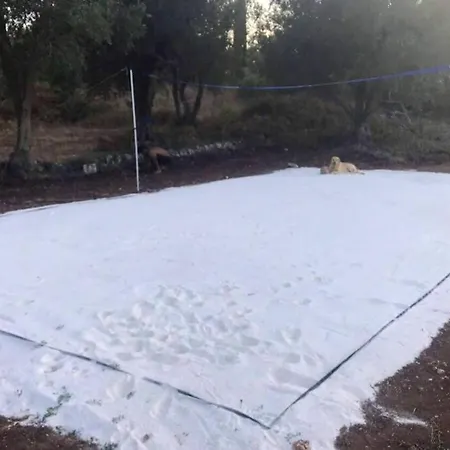 Villa Trulli Nel Cuore Della Valle D'itria Con Piscina Privata