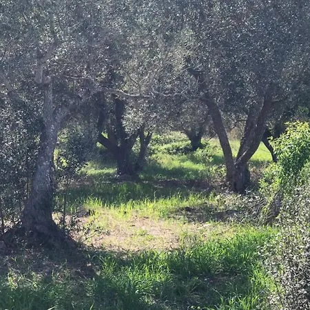 Villa Trulli Nel Cuore Della Valle D'itria Con Piscina Privata