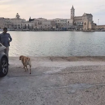 Trulli Nel Cuore Della Valle D'itria Con Piscina Privata Villa