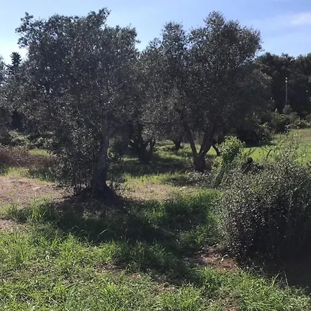 Trulli Nel Cuore Della Valle D'itria Con Piscina Privata Villa *